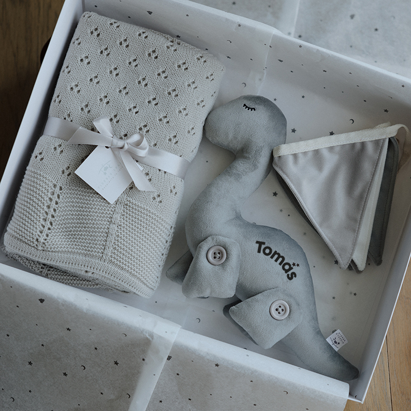 Baby Box Brontosaurio_Piccolo Spazio